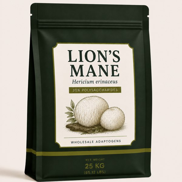 Lion's Mane Extract pouch